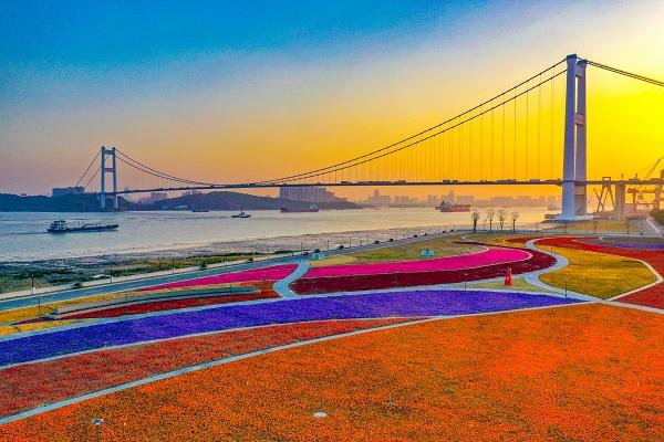 苏超首冠燃动浦江！靖江在上海亮出文体旅新名片