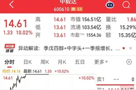 高位股抱团！600610再封涨停，年内已上涨245.39%！图片