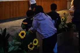 “夜京畿”出圈大战镇江“夜经济” 千年等一回！古渡西津，自此不孤独图片