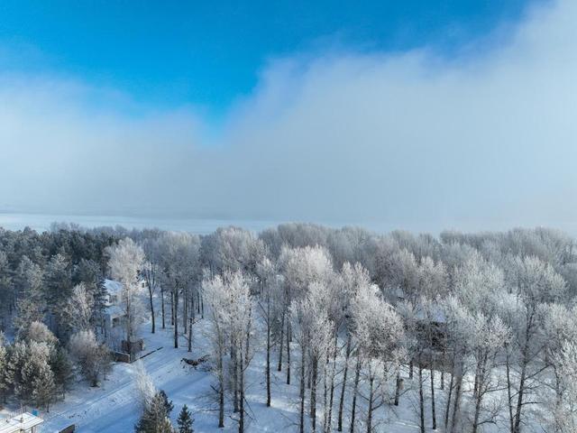 黑龙江呼玛：雾凇美景醉游人