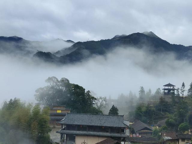 写点生活｜雨中小佐，别一番的春韵绵长