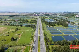 福建普通公路最长跨海大桥，有新进展！图片