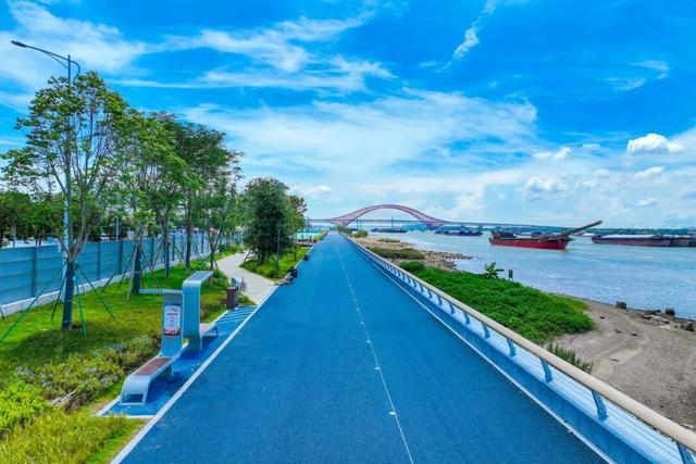 南沙“情侣路”新进展：滨海大道堤顶路骑行道贯通！