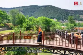 住进“森林氧吧”枣庄这套依山傍水的花园洋房你喜欢吗图片