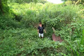 非法狩猎毒蛇！钟某、杨某被拘！图片