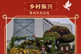 图个明白 | 长安街10组主题花坛亮相 打卡指南来了图片