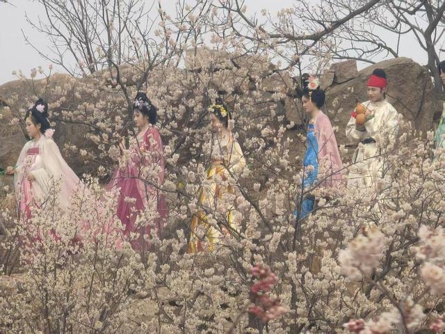 5大精品线路发布！邀你来日照赴一场春日山海繁花之约