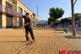 停车位变身“晒粮场” 群众晒粮有保障图片