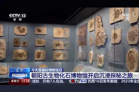 打卡不重样 博物馆奇妙之旅攻略📝收藏+走起！图片