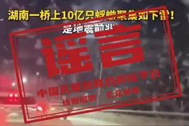 今日辟谣｜湖南汉寿一桥上大量蜉蝣聚集，是地震前兆？图片