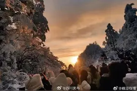 注意！峨眉山金顶大索道29日起检修停运3天，景区门票将限量！图片