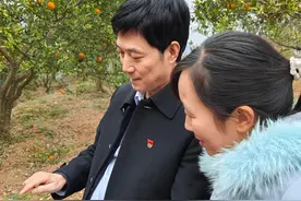 党旗飘扬映初心 金融赋能绘振兴——旬阳农商银行第十二党支部“新禾行动•党员在行动”服务纪实图片