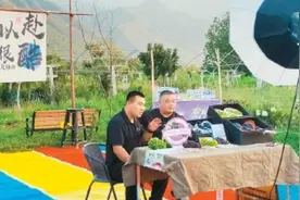 “紫色珍珠”跨越山河 西安构建起60余个百亩标准化葡萄果园图片