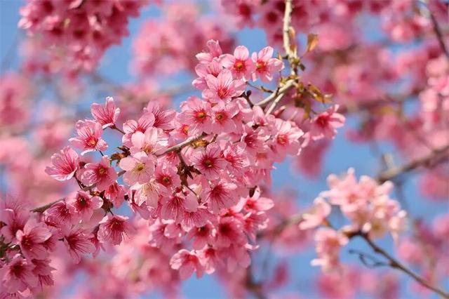 秋冬，来红河旅居吧！