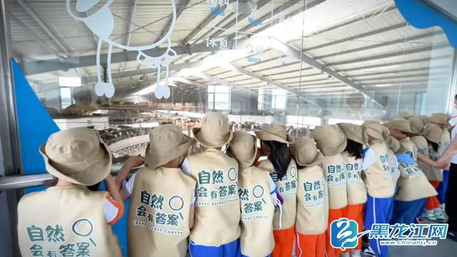 探秘雀巢DFI少年科学院：一站式研学胜地绽放独特魅力​