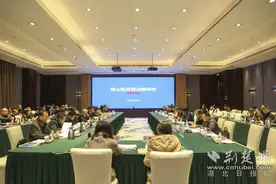 《青山区发展战略规划研究》顺利通过专家评审图片