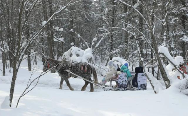 速来！和龙仙峰老里克景区一键开启冰雪童话副本
