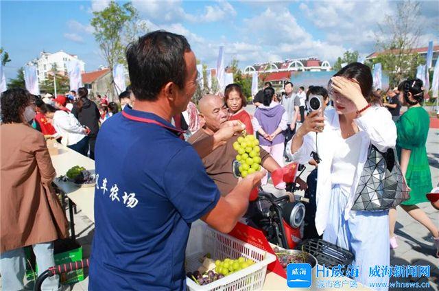 串串葡萄、甜了秋天！第十五届威海汪疃葡萄文化旅游节热闹开场