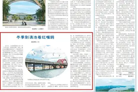 来昆明看红嘴鸥！人民日报海外版关注红嘴鸥南北迁徙图片