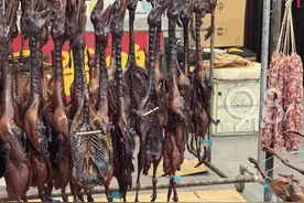 大量上市！杭州商家：一天至少好几百只……最近饭桌上总出现！图片