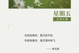 作家日签 | 李元胜：良宵引图片