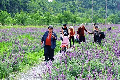 五一游长顺 青山绿水畅享惬意