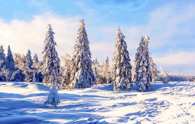 为什么是长春？