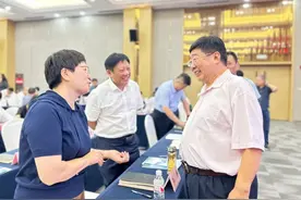 市县国企怎样理解三中全会深化改革？看临沂“城投变产投”做法图片