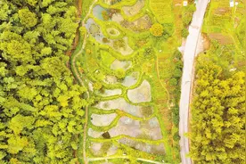 梁平猎神村：小微湿地生态治理 废弃矿坑变成景区图片