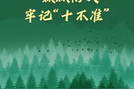 通报5起森林火情！安徽多人被拘图片