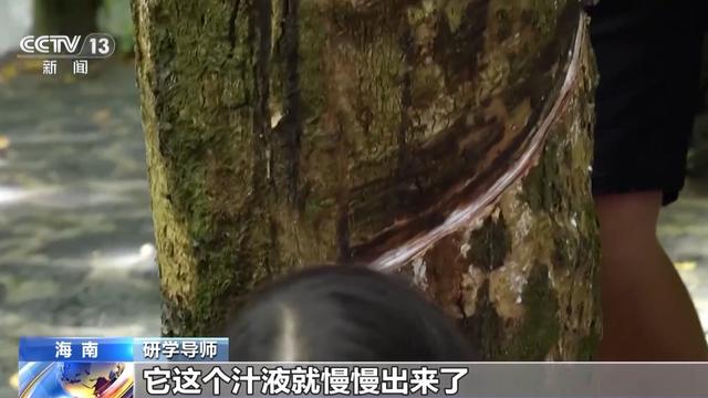 研学游持续升温 走进“绿色课堂”来一场沉浸式自然探索吧