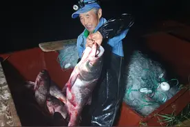 “休渔期”结束 北京密云水库正式进入2023年捕鱼期图片