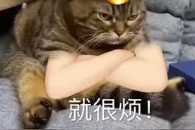 一个能让黑头自己爬出来，还不伤毛孔的小东西，很多人竟然不知道图片