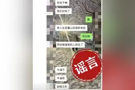 去长沙岳麓山玩“猫抓老鼠”游戏后被拐去缅甸噶腰子？警方回应图片
