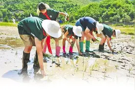 把土特产做成“金字招牌”——石家庄培育壮大农业特色产业一线见闻图片