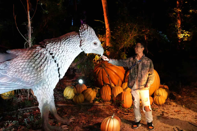 送票！冬天这里会“下雪”，二刷体验感更强