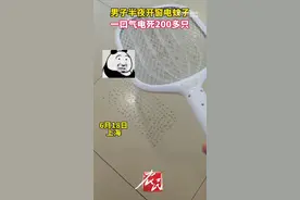 热闻|男子半夜一口气电死200多只蚊子，家里凭空冒出的小飞虫都是哪来的？图片