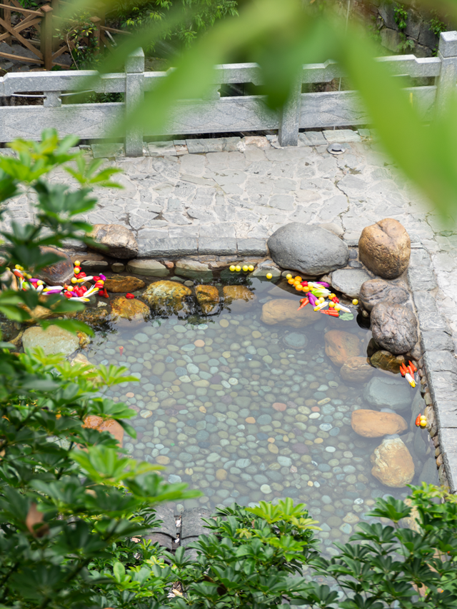 在桂林过大雪：暖汤、红柿、碧水…藏着南方冬日最惊艳的色彩