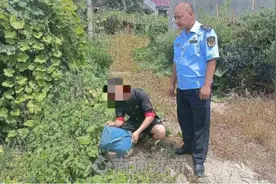 河声丨“癞蛤蟆是保护动物”为何鲜有人知？图片