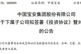 摩洛哥再引中国企业布局！中国宝安约35亿建锂电池正极材料项目图片