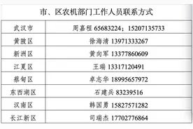 最高补贴额3万元！武汉农机报废补贴政策详解来了图片
