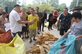 桃江：干笋收购价格好 笋农减产不减收图片