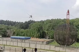 吉林省东北虎园一杂技演员高坠 区应急局：伤者正救治，已成立调查组图片