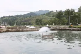 村史村事丨江口县匀都村：鲟鱼跃出致富路 山乡“三变”绘新景图片