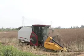 武汉永旺智慧农场：智能农机跑出生产加速度图片