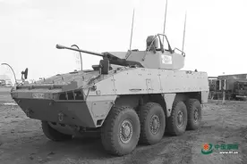 南非战车占据军贸市场一席之地 “蜜獾”成非洲战车“名片”图片