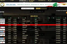 机场大规模航班取消！多航司暂停飞中东航班→图片