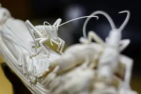 “清水出芙蓉，天然去雕饰”——走进牙雕大师李春珂工作室图片