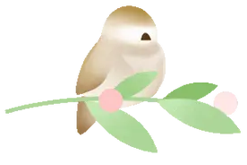 美文赏析｜我的青春，我的梦图片