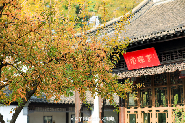 怎么能错过秦淮的秋天呢？